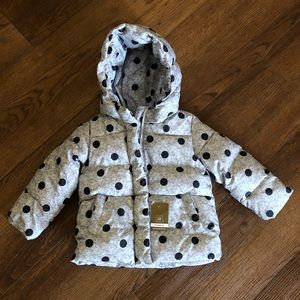 Baby gap toddler winter coat